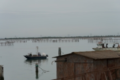 Trasferimento al Bacucco